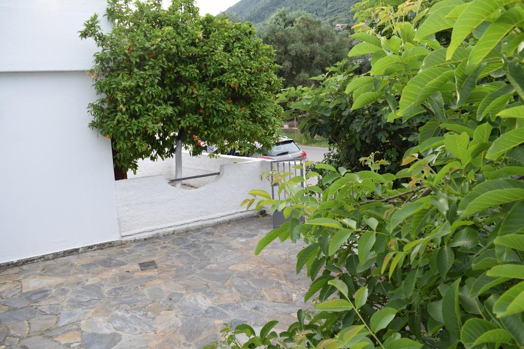 Apartment Gorgona & Ipsos